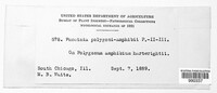 Image Associated With the Occurence